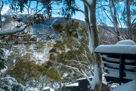 Pure Chalet Thredbo - Accommodation Gold Coast 30