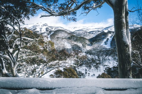 Pure Chalet Thredbo - Accommodation Gold Coast 2