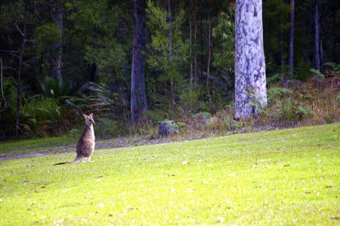 Jackson Ranch By Bannisters - Accommodation Gold Coast 31