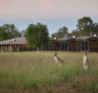 Wildman Wilderness Lodge - Accommodation Gold Coast