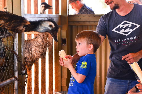 Erldunda Desert Oaks Resort - Accommodation Gold Coast 13