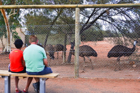 Erldunda Desert Oaks Resort - Accommodation Gold Coast 21