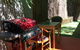 Alice\'s Secret Travellers Inn - thumb 5