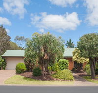 Bottlebrush - Accommodation Gold Coast