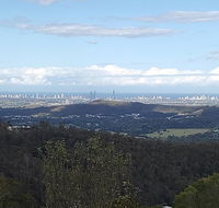 Bottletree Gardens - Mini Manson Blue - Accommodation Gold Coast