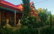 Boutique Motel Sefton House - thumb 0