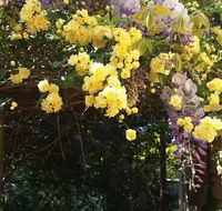 Bowral Road Bed and Breakfast - Gold Coast 4U