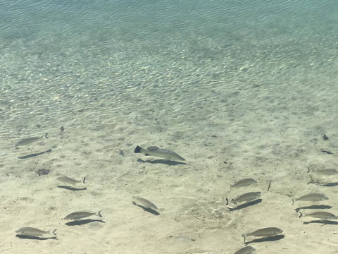 Broadbeach Waterfront Holiday House - Accommodation Gold Coast 1