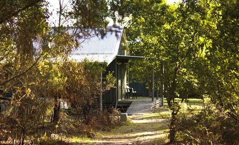 Brodribb River Rainforest Cabins - Cabin 1 - Accommodation Gold Coast 2