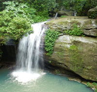 Buderim Forest Hideaway - Accommodation Gold Coast