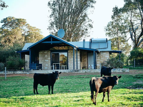 Burnside Organic Farm - Gold Coast 4U 2