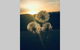 Byron Bay Hinterland House - Amazing Sunset Views! - thumb 3