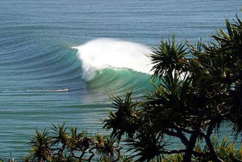 Cabarita Studio - Gold Coast 4U 0