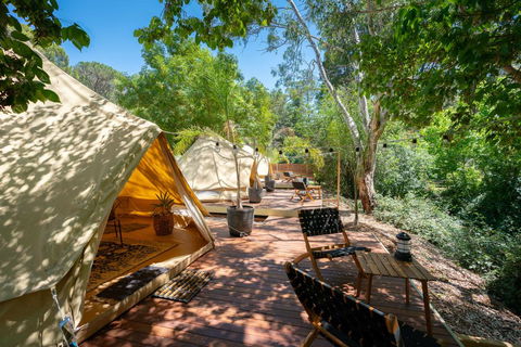 Castlemaine Gardens Luxury Glamping - Accommodation Gold Coast 0