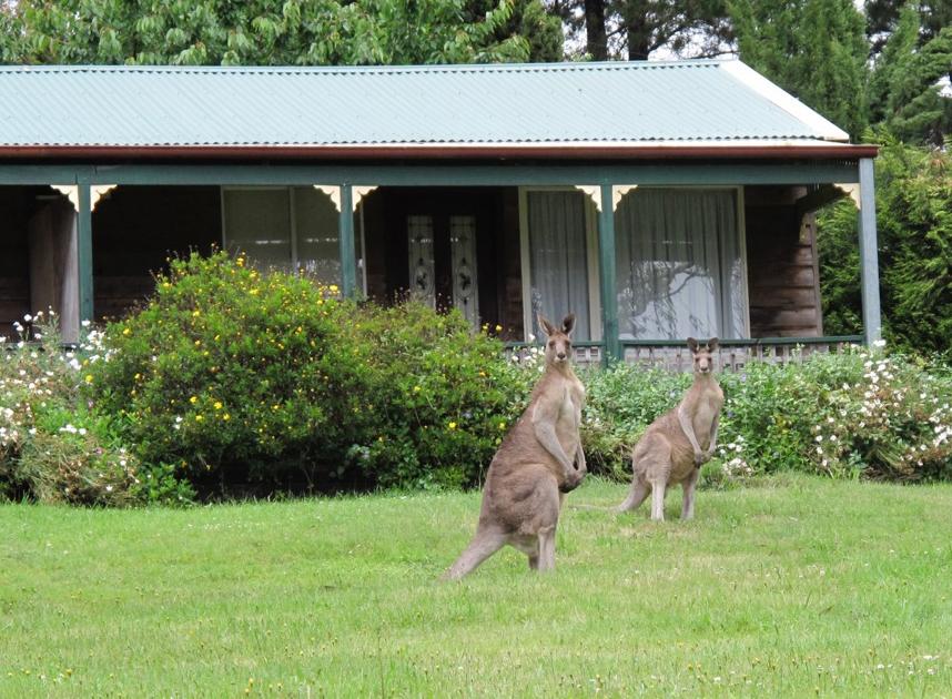 Mount Victoria NSW Gold Coast 4U