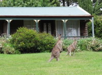 Book Mount Victoria Accommodation Vacations Accommodation Gold Coast Accommodation Gold Coast