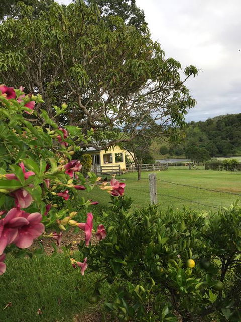 CedarBrae Country Stay - Gold Coast 4U 2