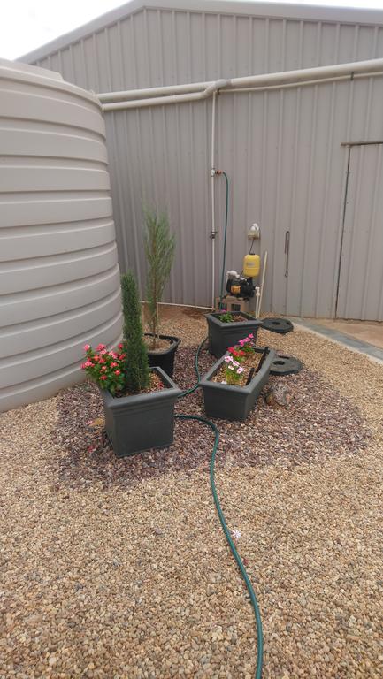 Chrissie's Dongara - Accommodation Gold Coast 2