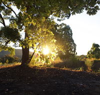 Clarendon Forest Retreat - Accommodation Gold Coast