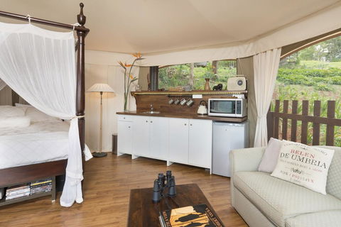 Clouds Safari - Accommodation Gold Coast 1