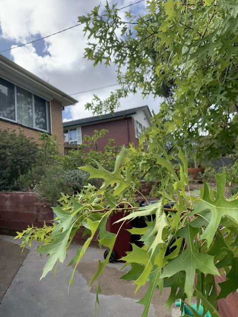 Comfortable Homestay - Accommodation Gold Coast 1