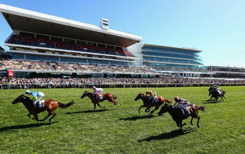 Comfy 2BR Suite Near Flemington Races, FREE Parking - 1 Gold Coast 2