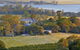 Coolangatta Estate Berry - thumb 3