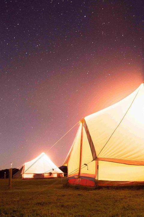 Coonawarra Bush Holiday Park - Accommodation Gold Coast 3