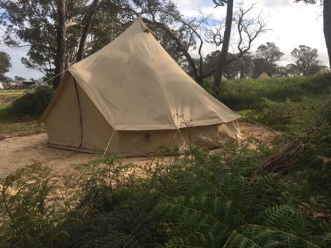 Coonawarra Bush Holiday Park - Accommodation Gold Coast 2