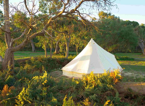 Coonawarra Bush Holiday Park - Accommodation Gold Coast 0