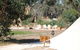 Cosy Tents - Daylesford - thumb 3
