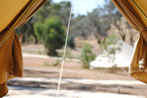 Cosy Tents - Daylesford - Gold Coast 4U 1