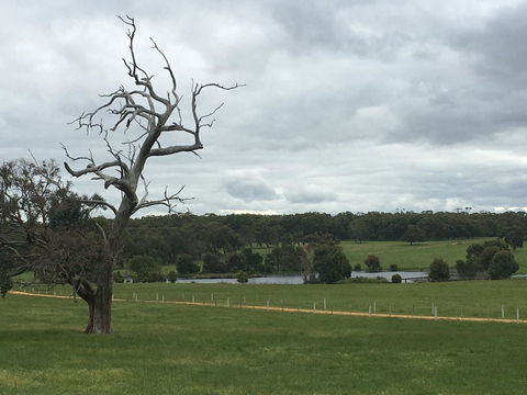 Country Farm House Close To Ballarat - Accommodation Gold Coast 1