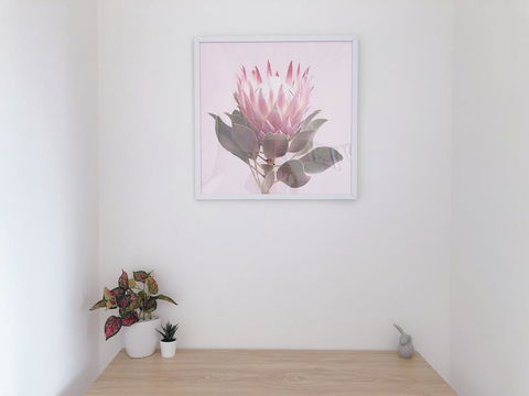 Cozy Private Room In Kingsford Near UNSW, Randwick2 - Accommodation Gold Coast 2