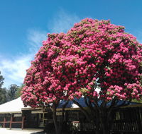 Crossways Country Inn - Gold Coast 4U