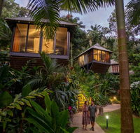 Daintree Ecolodge - Accommodation Gold Coast
