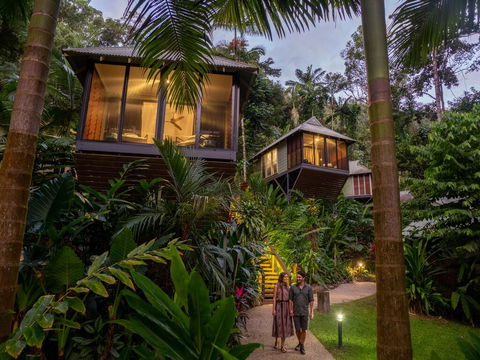 Daintree Ecolodge - Accommodation Gold Coast 0