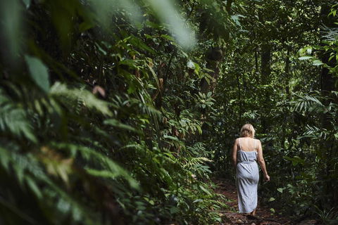 Daintree Ecolodge - Accommodation Gold Coast 2