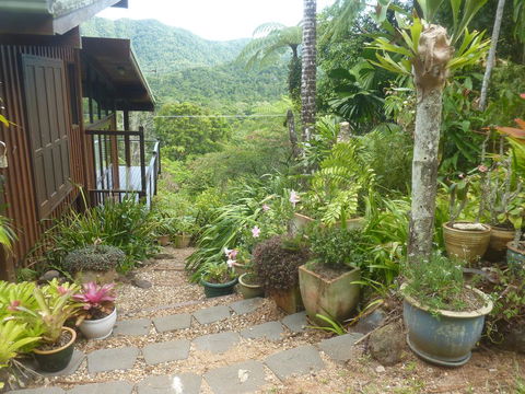 Daintree Holiday Homes - The Folly - Accommodation Gold Coast 0