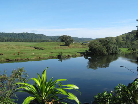 Daintree Riverview Lodges - Accommodation Gold Coast 0