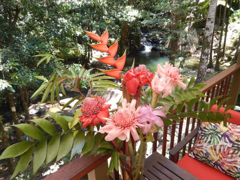Daintree Secrets Rainforest Sanctuary - Accommodation Gold Coast 1