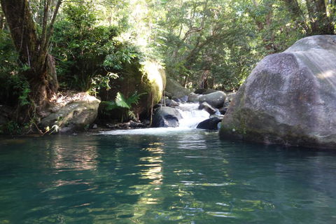 Daintree Secrets Rainforest Sanctuary - Accommodation Gold Coast 0
