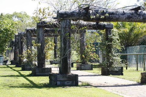 Daintree Wild Bed & Breakfast - Accommodation Gold Coast 2