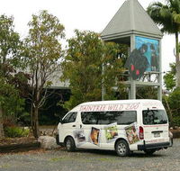 Daintree Wild Bed  Breakfast - Accommodation Gold Coast