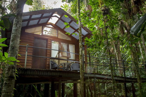 Daintree Wilderness Lodge - Accommodation Gold Coast 2