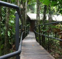 Daintree Wilderness Lodge - Accommodation Gold Coast