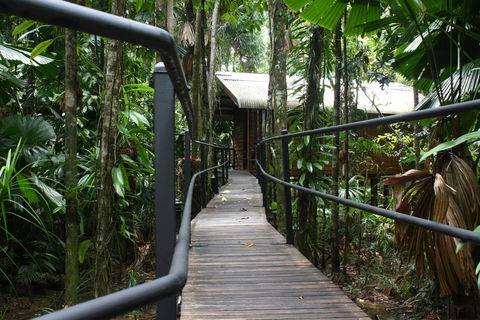 Daintree Wilderness Lodge - Accommodation Gold Coast 0
