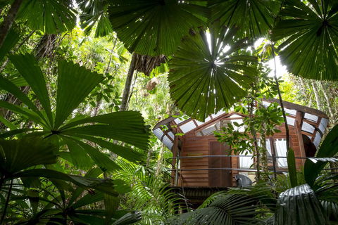 Daintree Wilderness Lodge - Accommodation Gold Coast 1