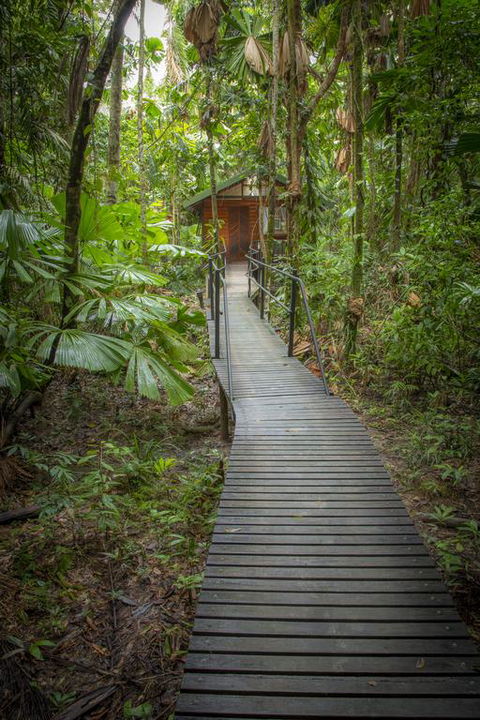 Daintree Wilderness Lodge - Accommodation Gold Coast 3