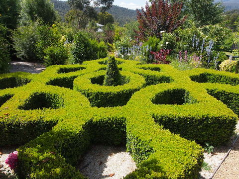 Delderfield Cottages - Gold Coast 4U 2
